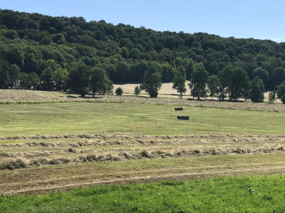Gite 6 Pers De La Vallee De L'Aujon Arc-en-Barrois Buitenkant foto