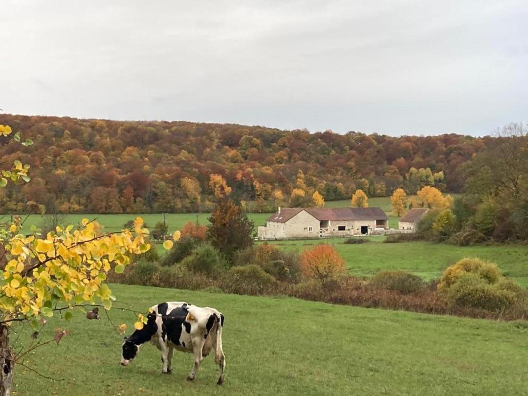 Gite 6 Pers De La Vallee De L'Aujon Arc-en-Barrois Buitenkant foto