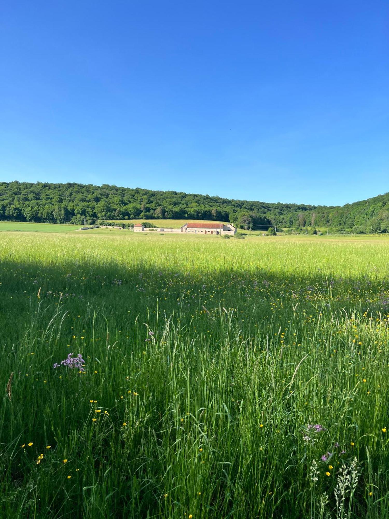 Gite 6 Pers De La Vallee De L'Aujon Arc-en-Barrois Buitenkant foto